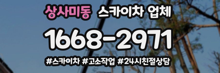 상사미동 스카이차 업체