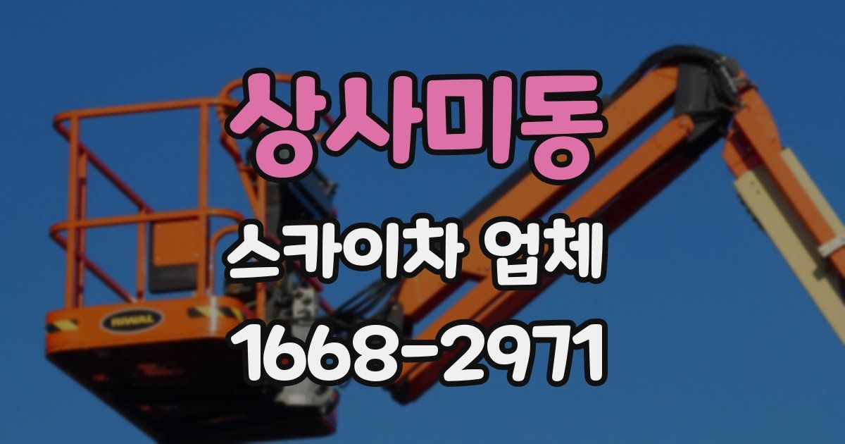 상사미동 스카이차 업체