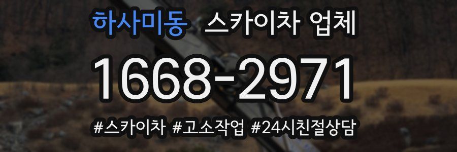 하사미동 스카이차 업체