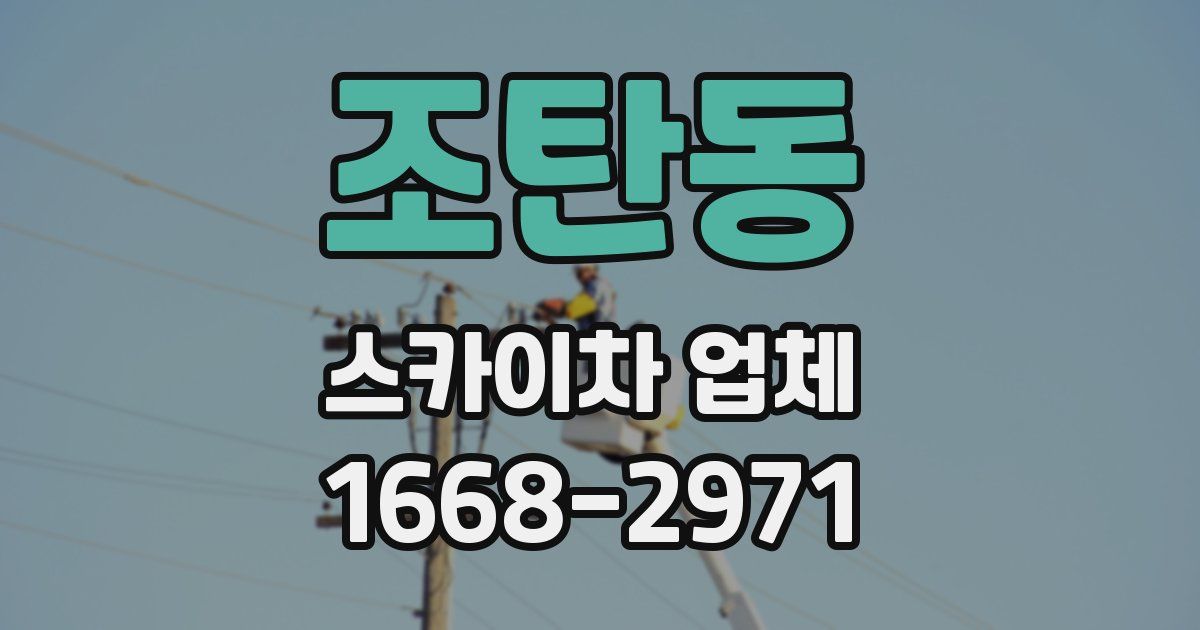 조탄동 스카이차 업체
