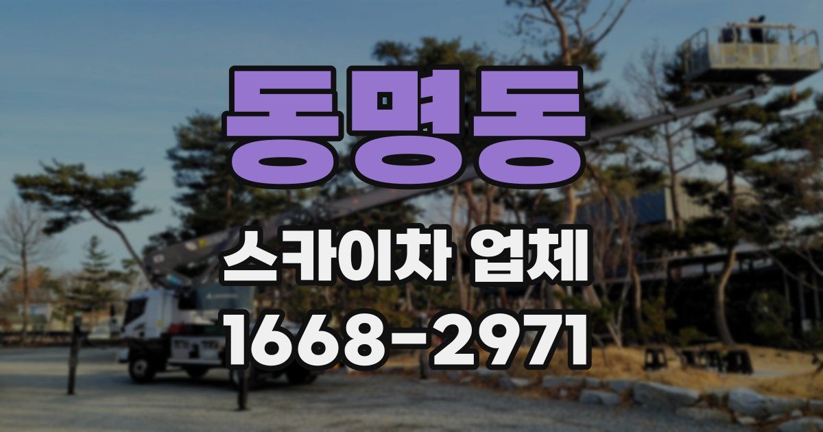 동명동 스카이차 업체