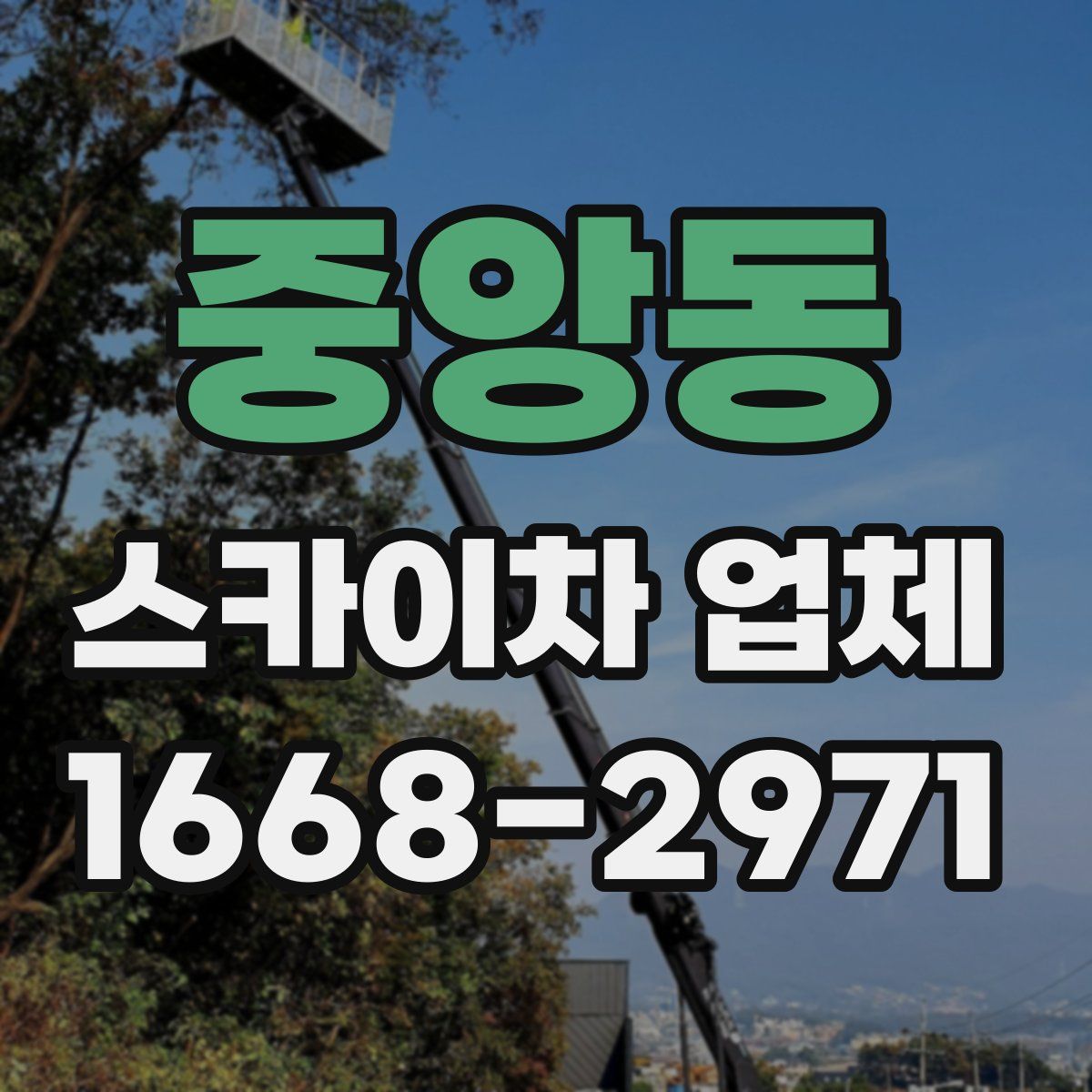중앙동 스카이차 업체