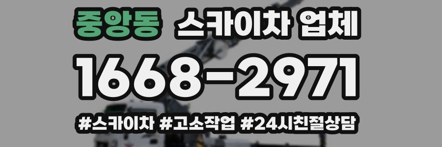 중앙동 스카이차 업체