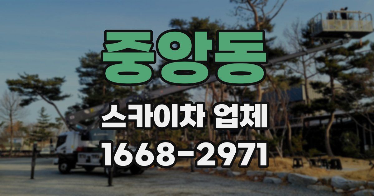 중앙동 스카이차 업체
