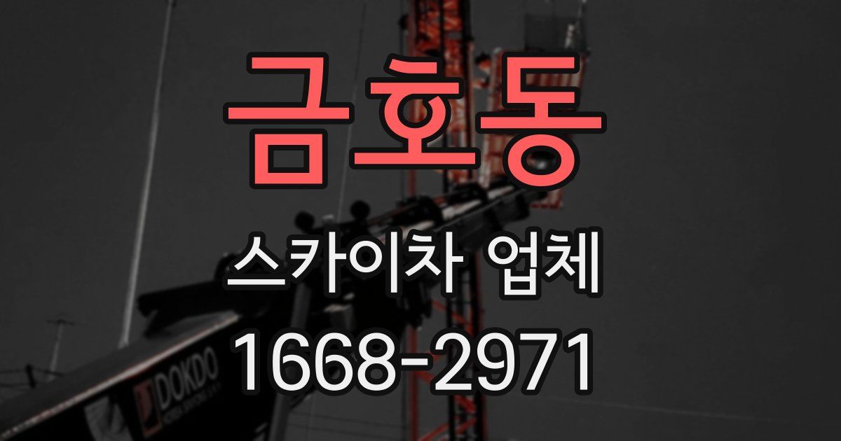 금호동 스카이차 업체