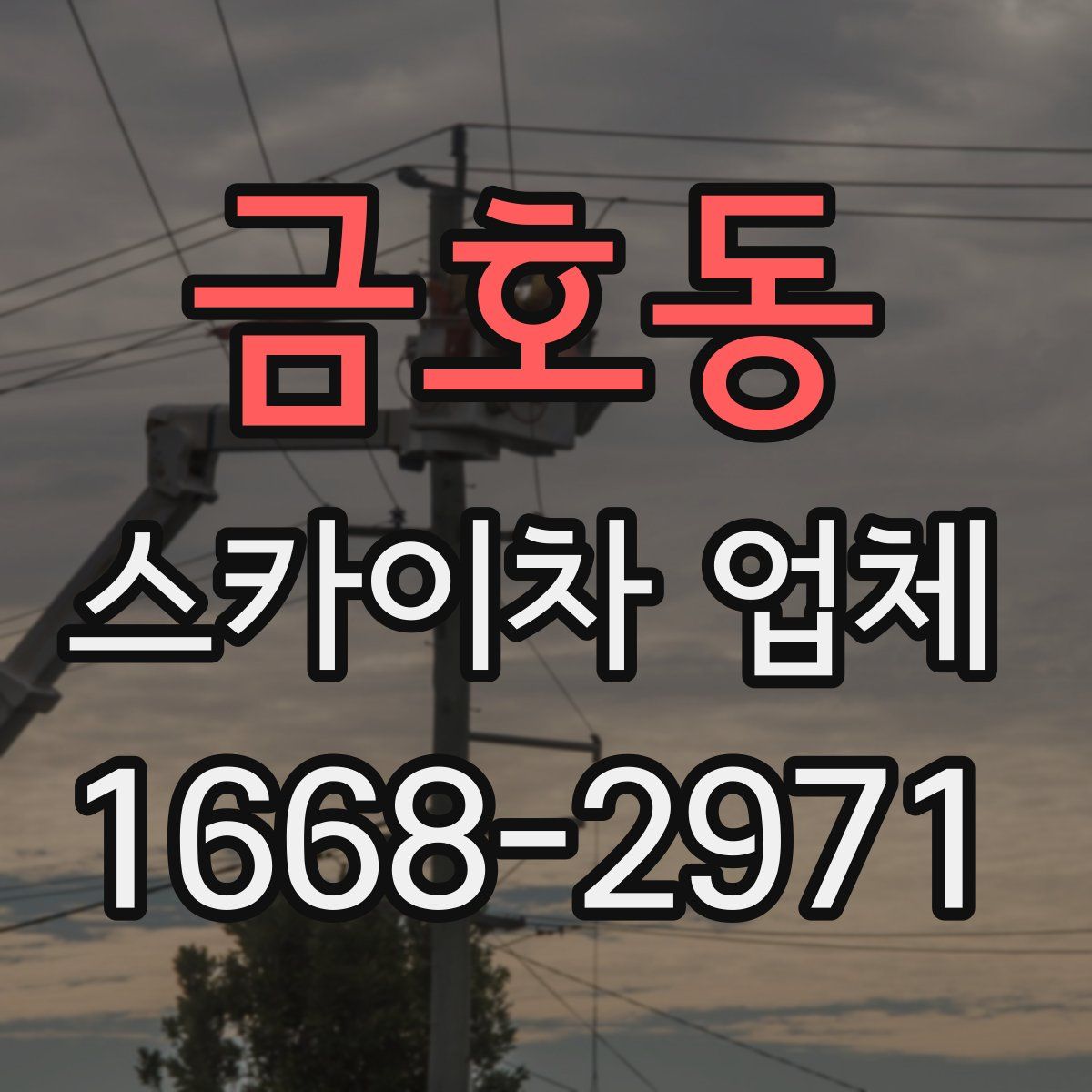 금호동 스카이차 업체