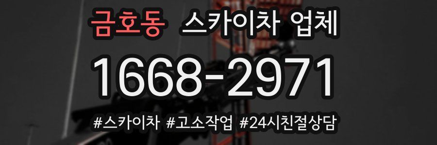 금호동 스카이차 업체
