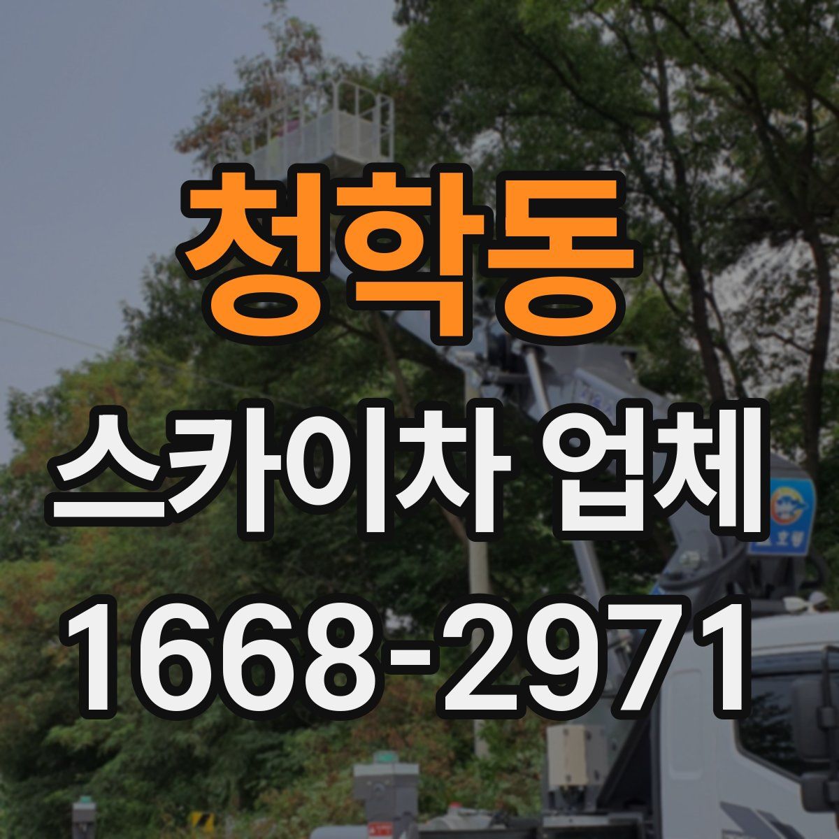 청학동 스카이차 업체