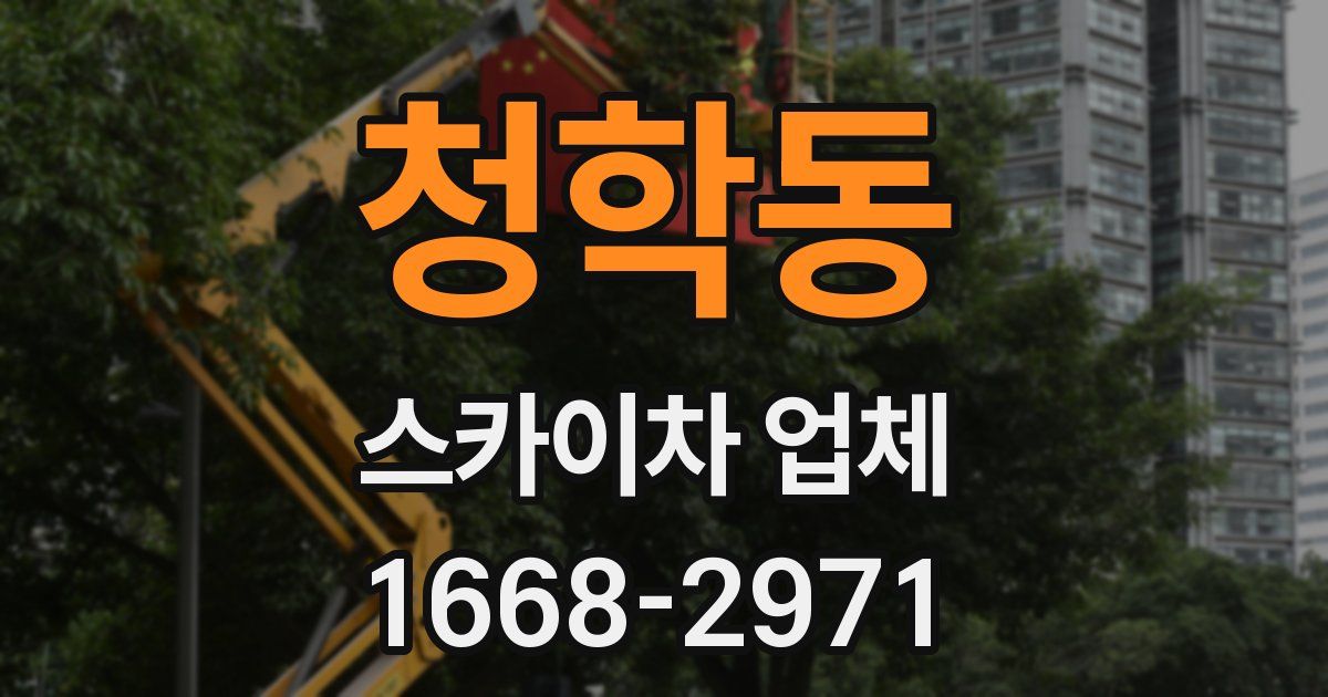 청학동 스카이차 업체