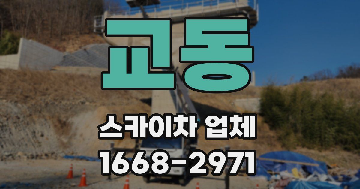 교동 스카이차 업체