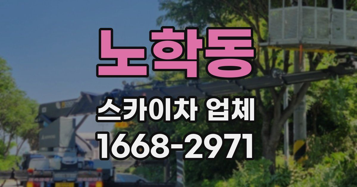 노학동 스카이차 업체