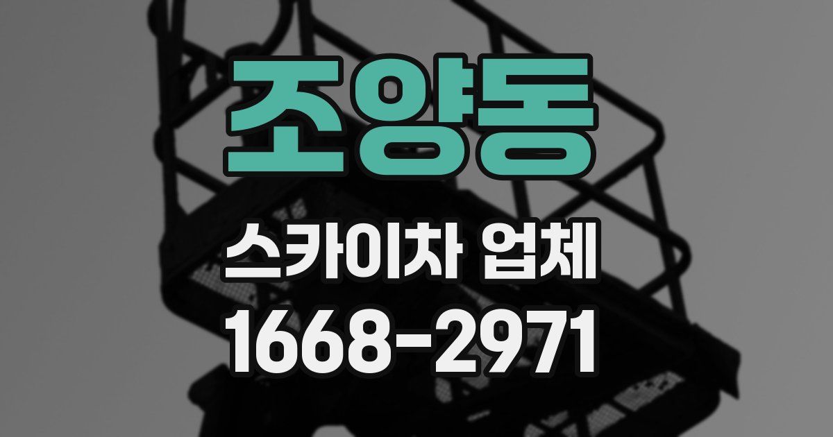 조양동 스카이차 업체