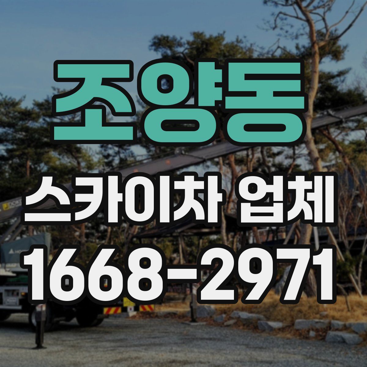 조양동 스카이차 업체