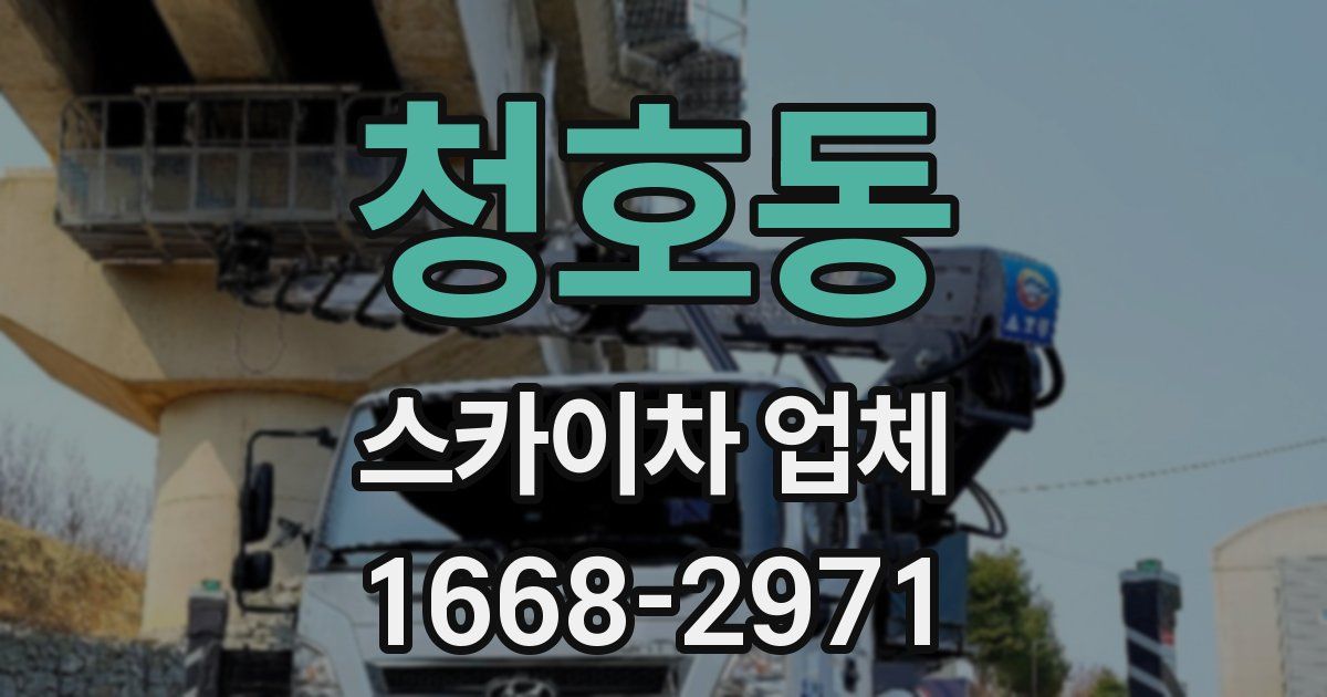 청호동 스카이차 업체