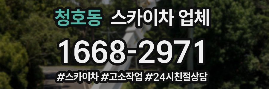 청호동 스카이차 업체