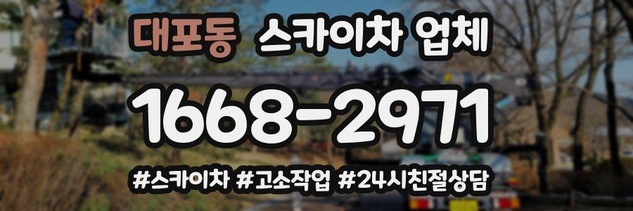 대포동 스카이차 업체