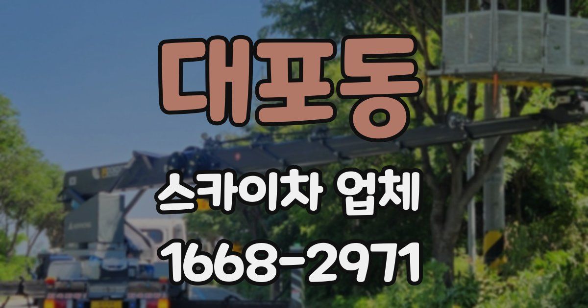 대포동 스카이차 업체