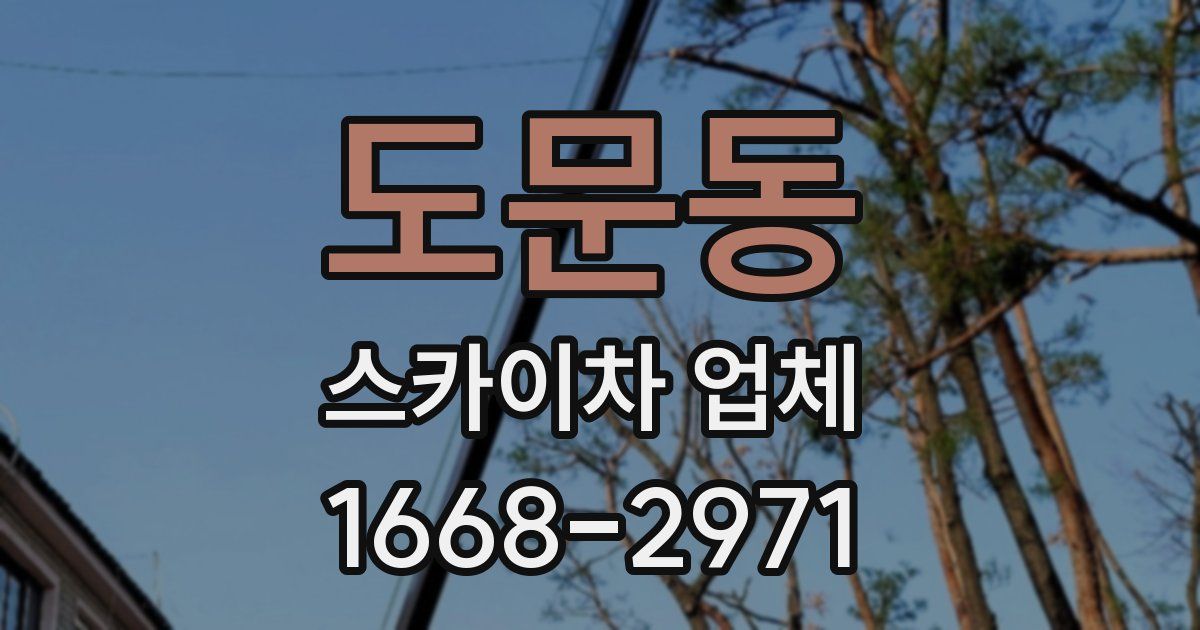 도문동 스카이차 업체