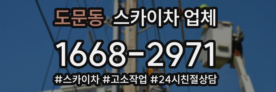 도문동 스카이차 업체