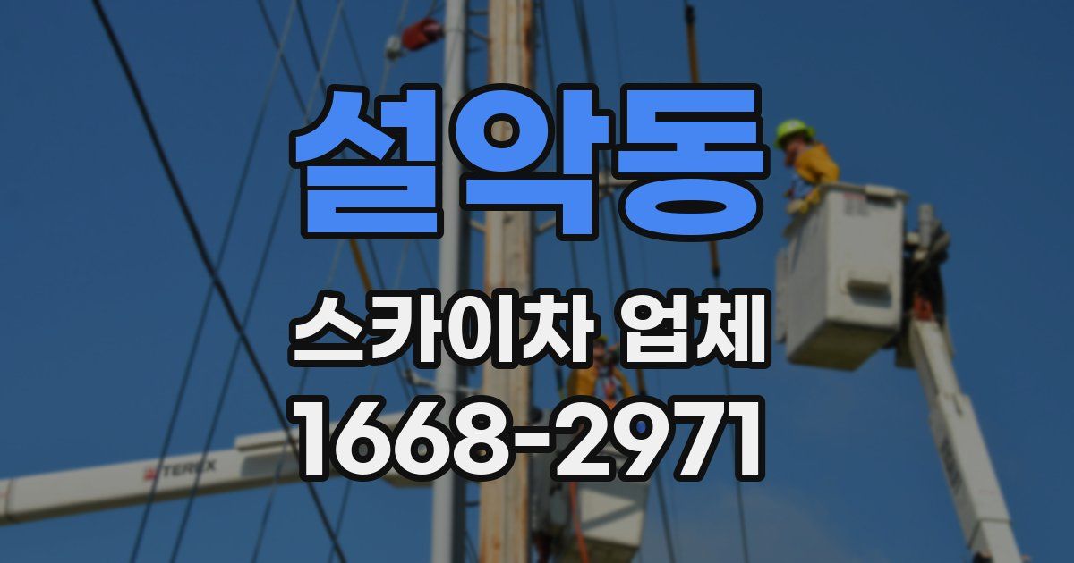 설악동 스카이차 업체