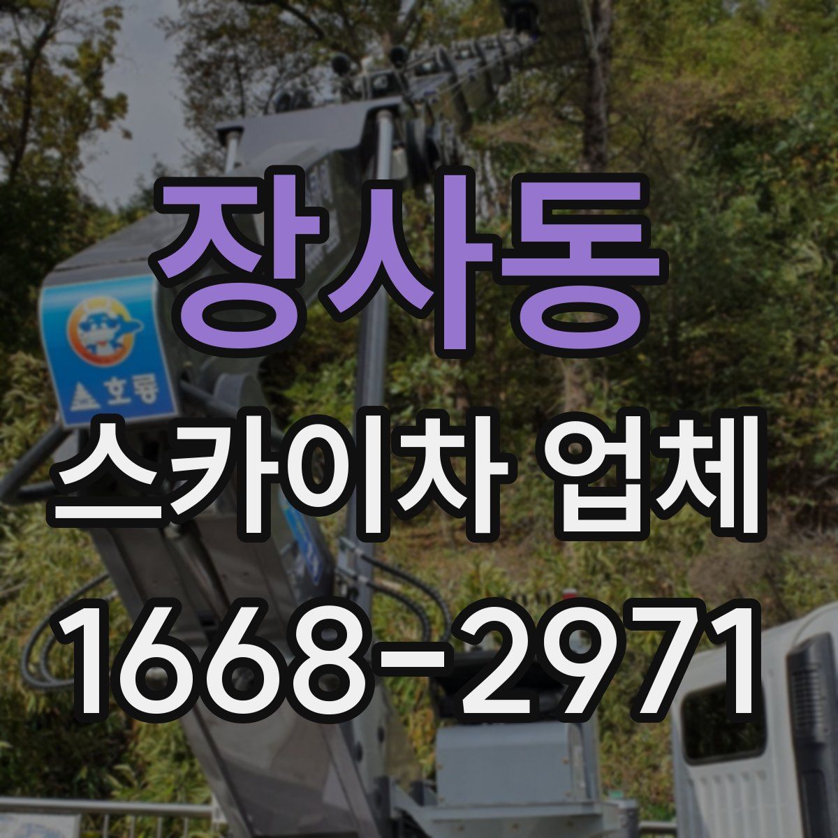 장사동 스카이차 업체