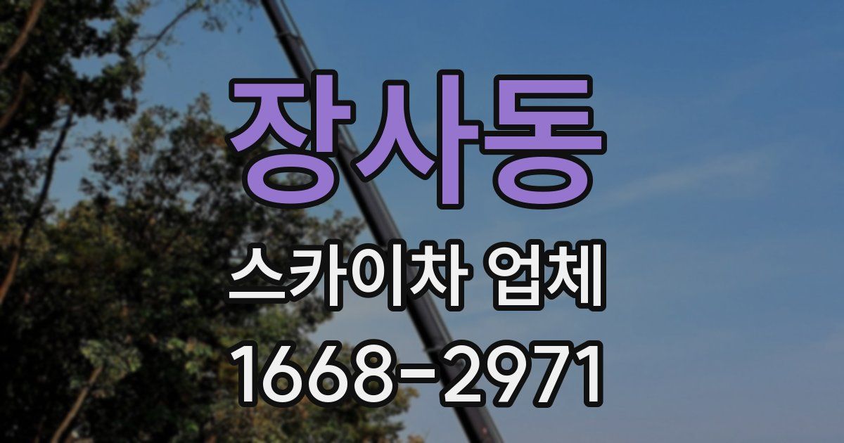 장사동 스카이차 업체
