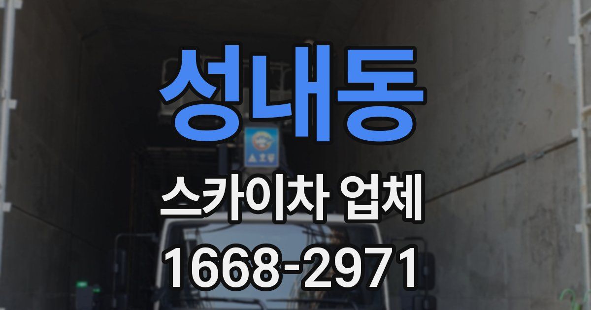 성내동 스카이차 업체