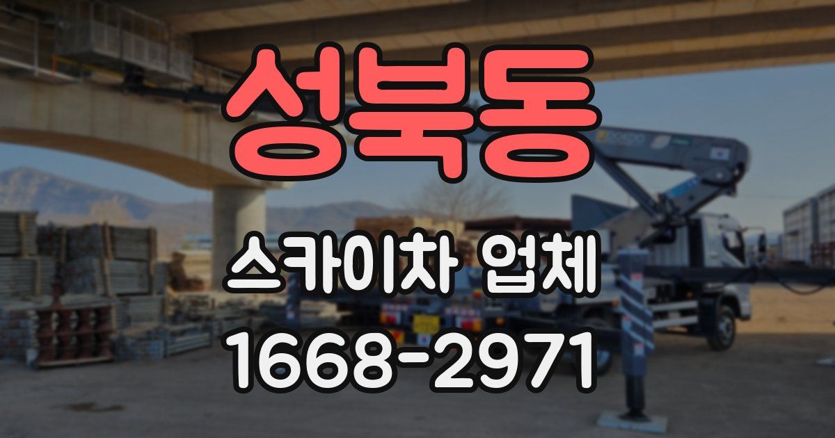성북동 스카이차 업체