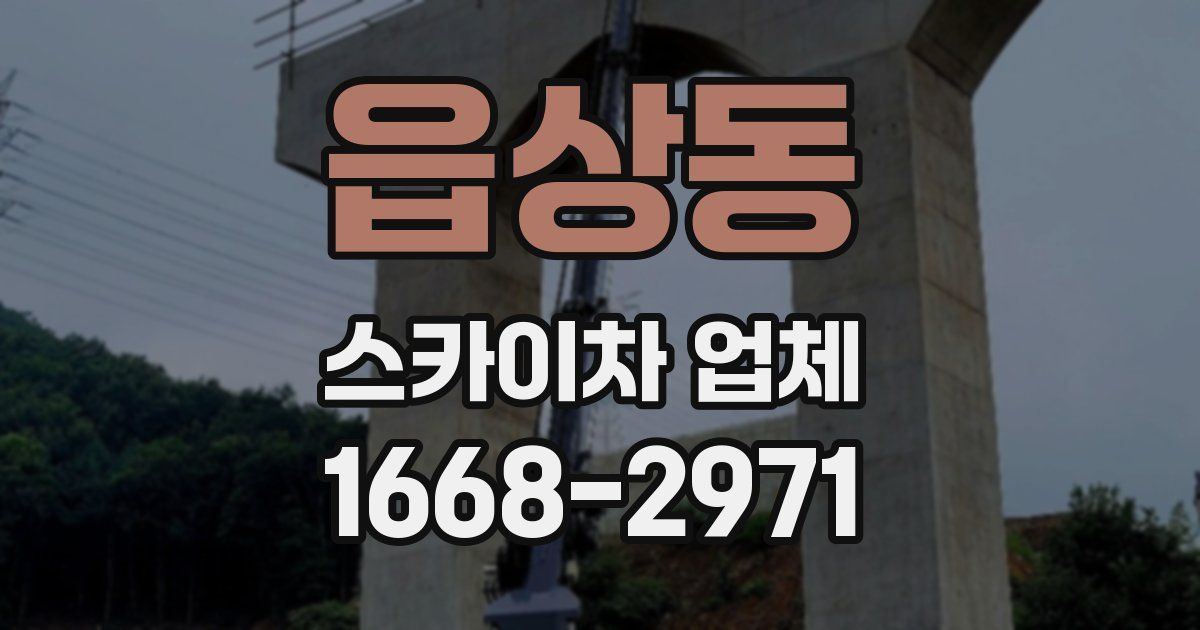 읍상동 스카이차 업체