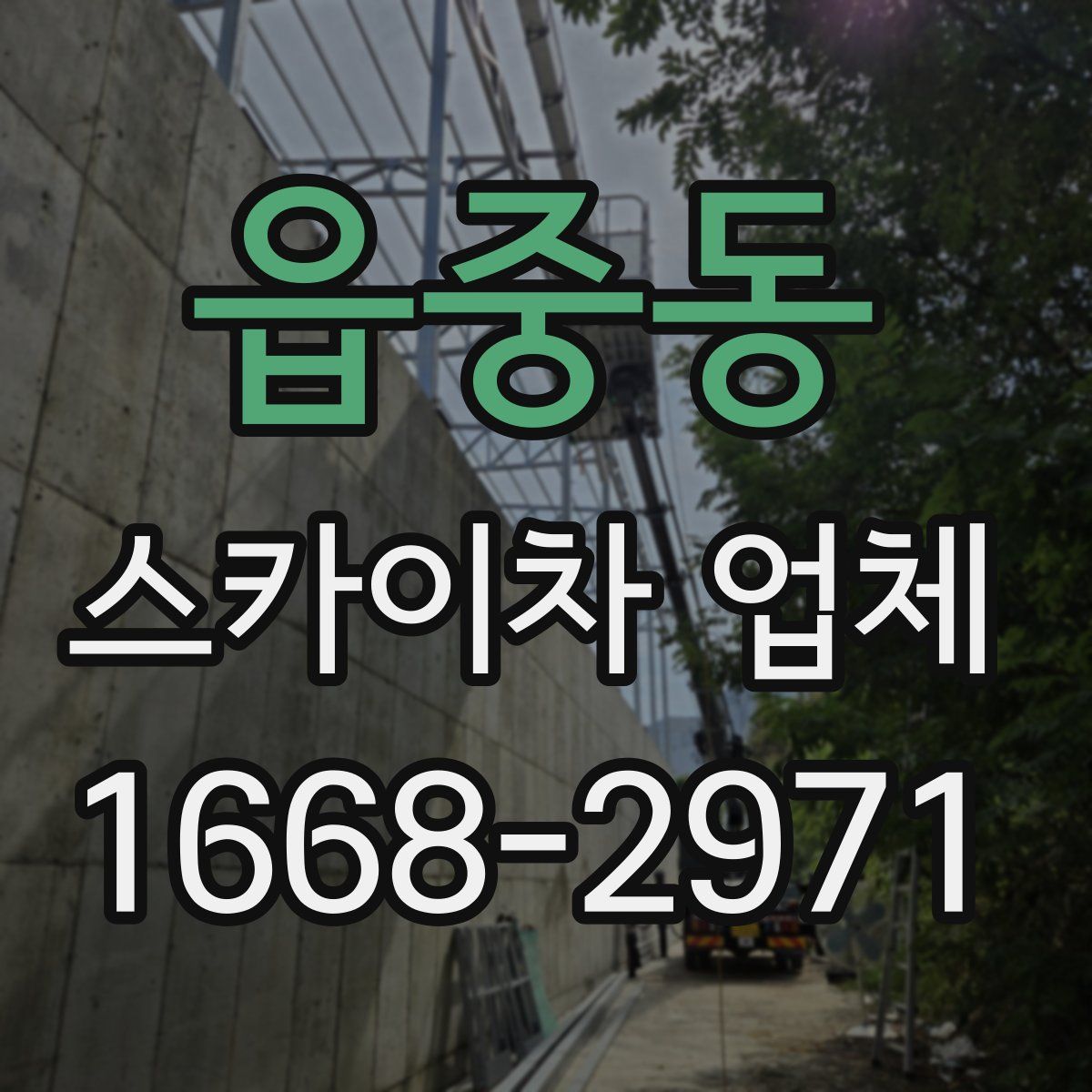 읍중동 스카이차 업체