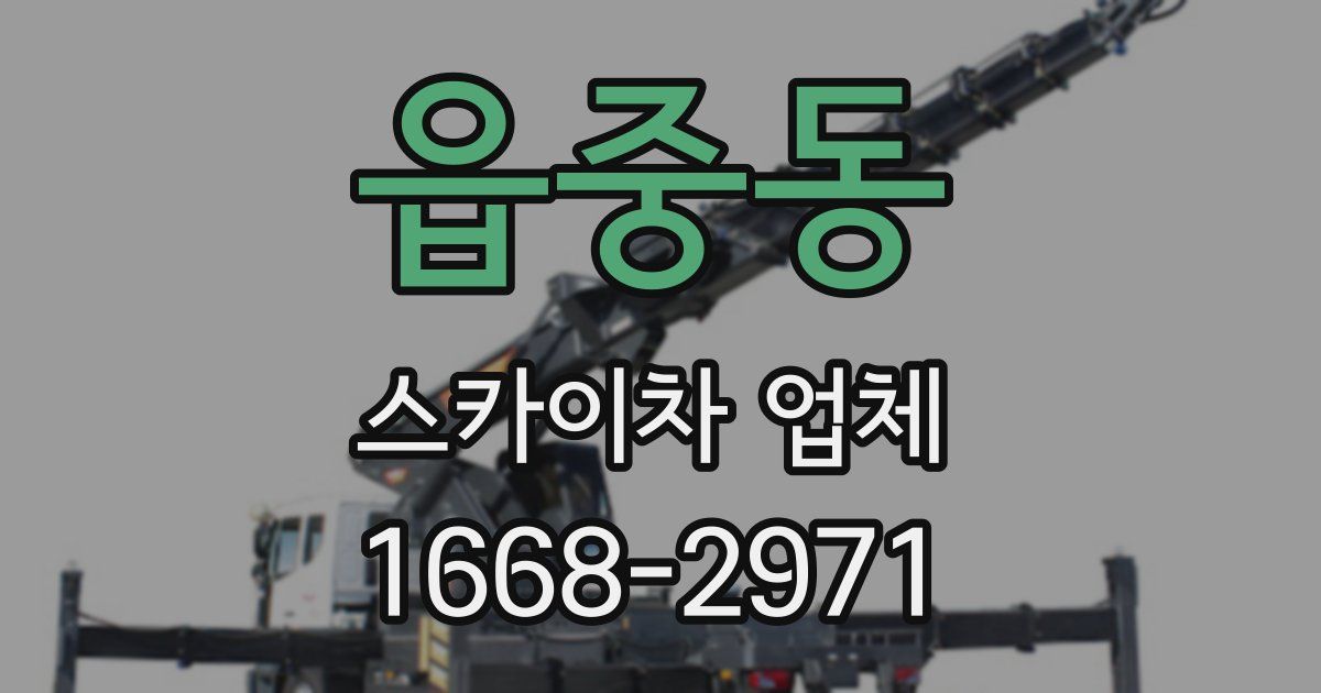 읍중동 스카이차 업체