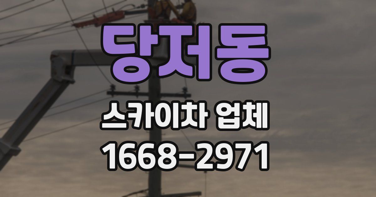 당저동 스카이차 업체