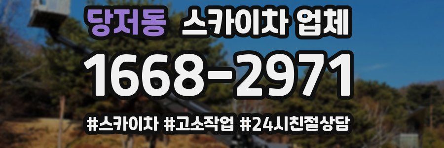 당저동 스카이차 업체