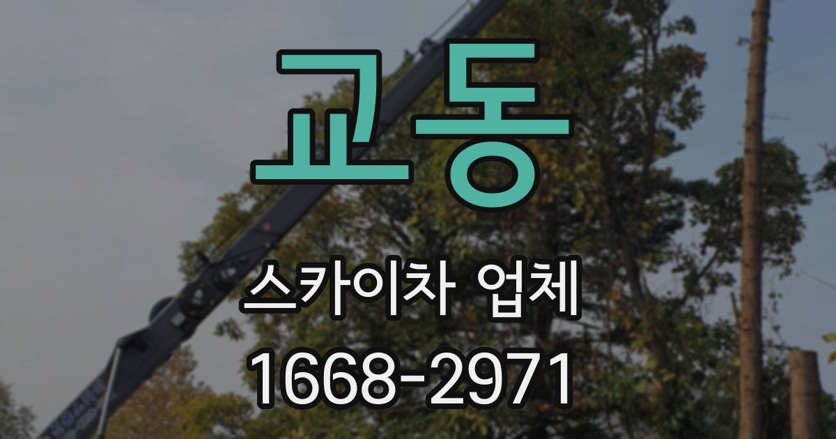 교동 스카이차 업체