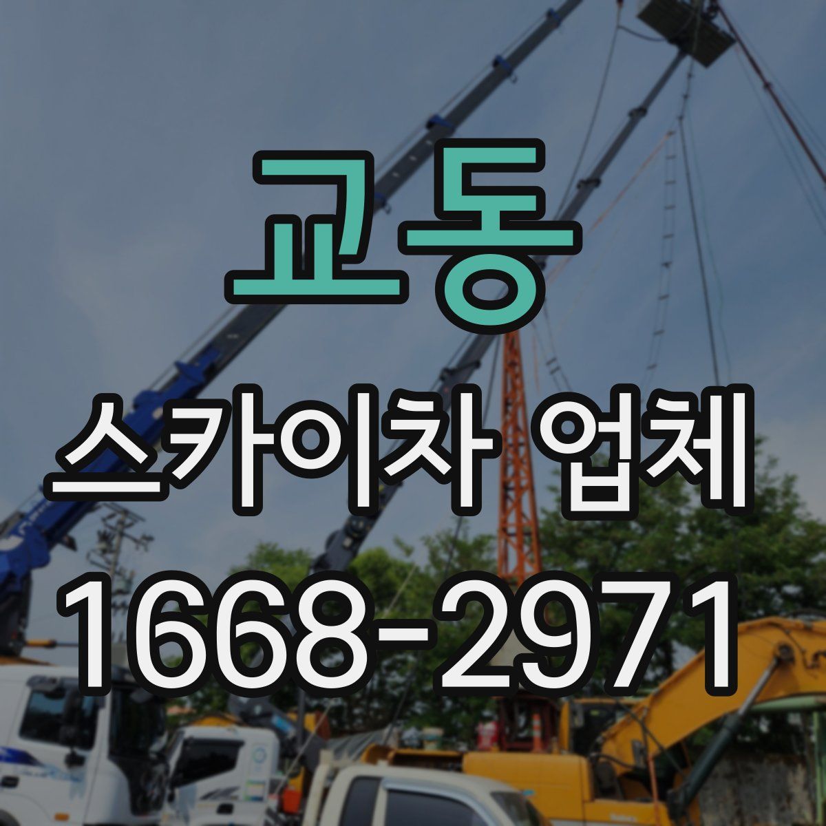 교동 스카이차 업체