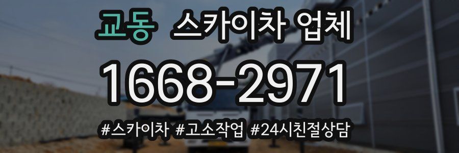 교동 스카이차 업체