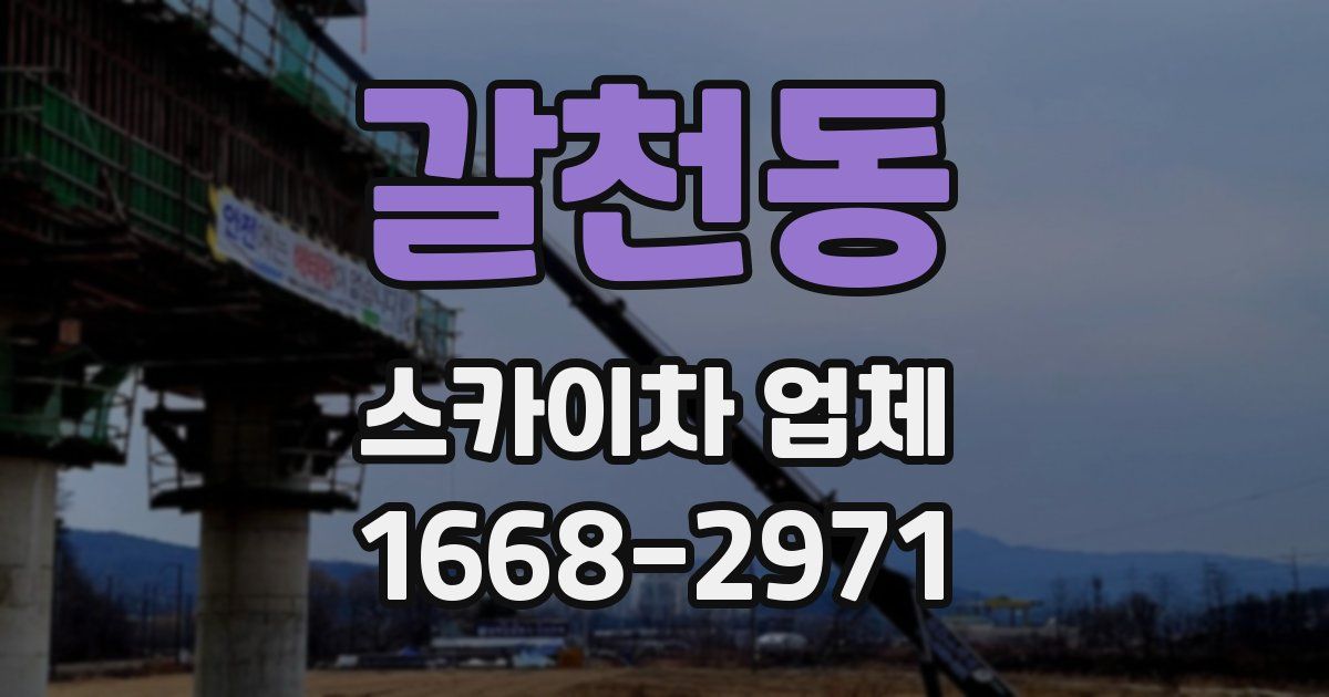 갈천동 스카이차 업체