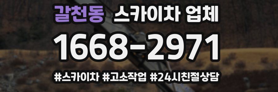 갈천동 스카이차 업체