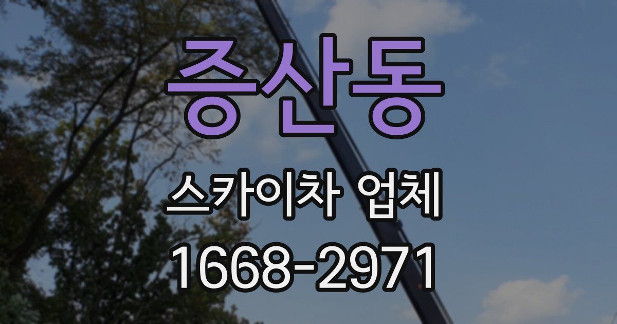 증산동 스카이차 업체