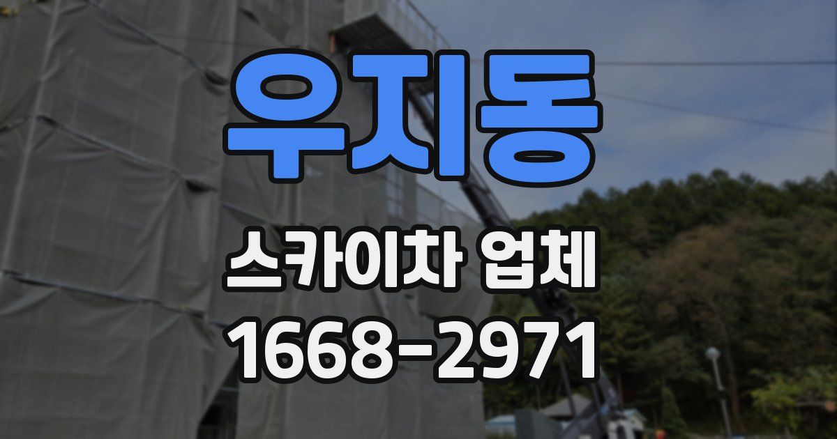 우지동 스카이차 업체