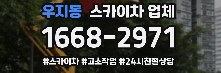 우지동 스카이차 업체