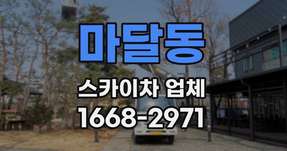 마달동 스카이차 업체