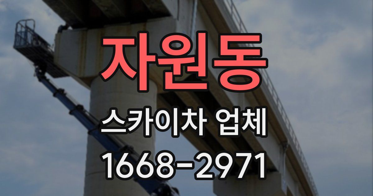 자원동 스카이차 업체