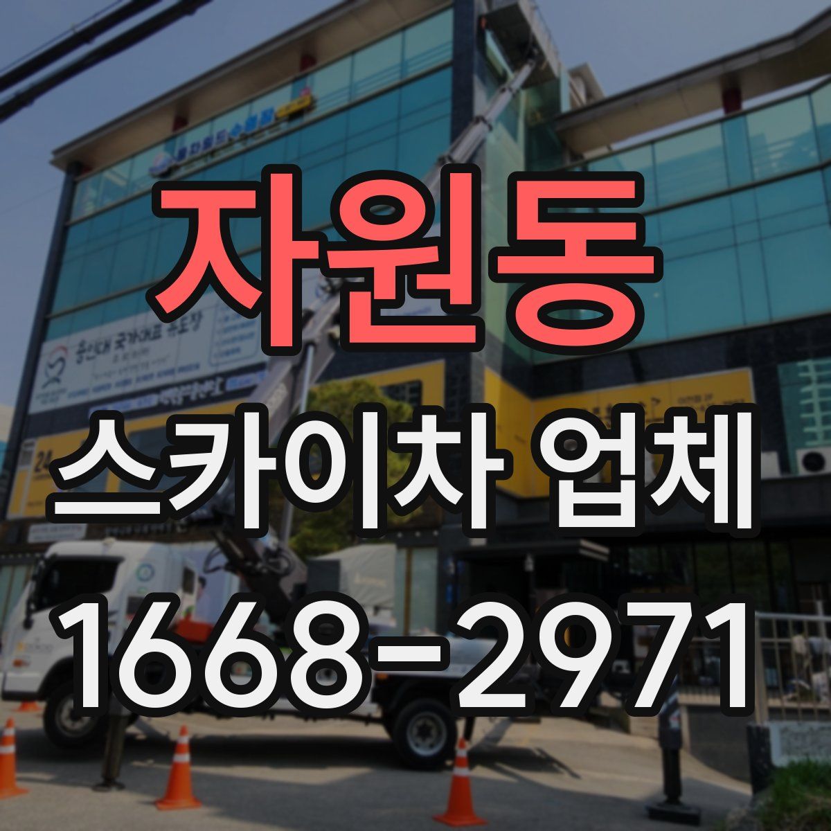 자원동 스카이차 업체