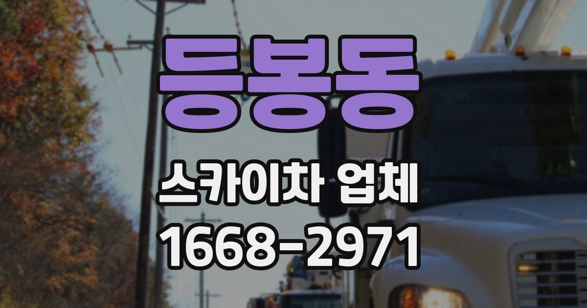 등봉동 스카이차 업체