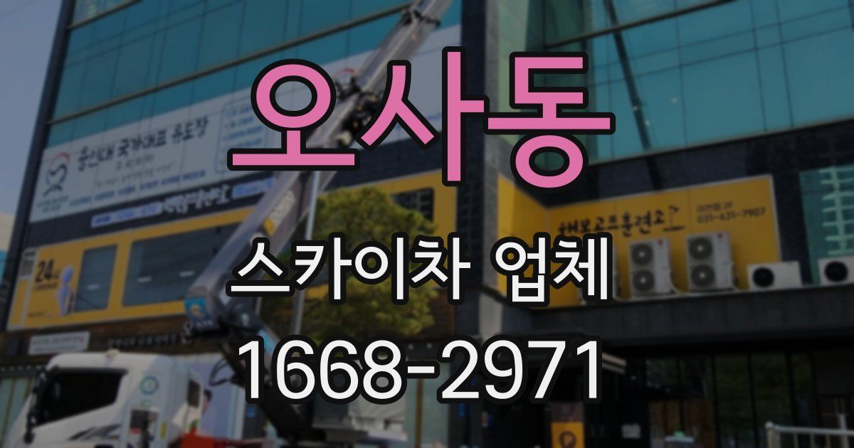 오사동 스카이차 업체