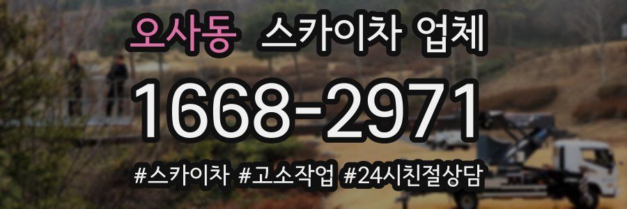 오사동 스카이차 업체