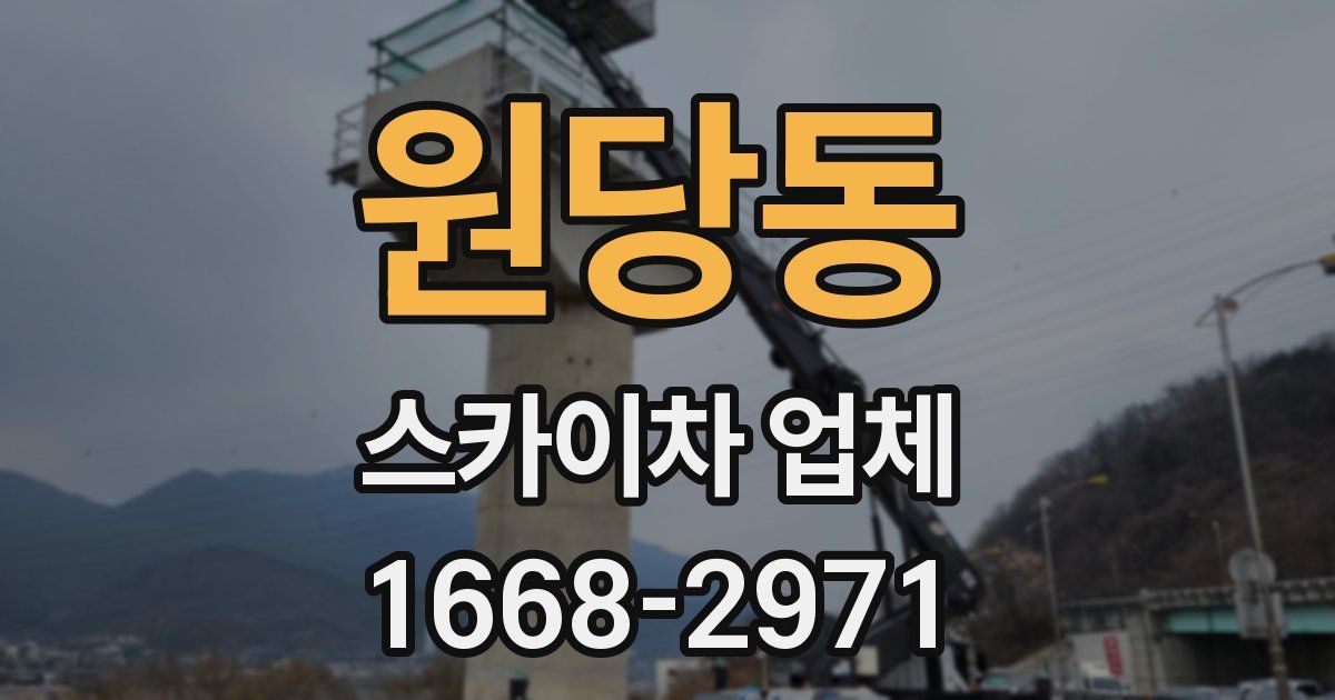 원당동 스카이차 업체