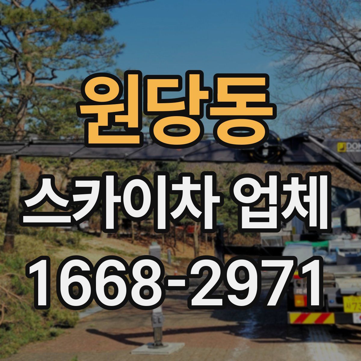 원당동 스카이차 업체
