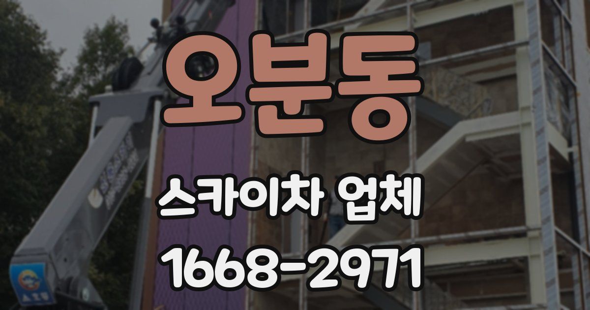 오분동 스카이차 업체